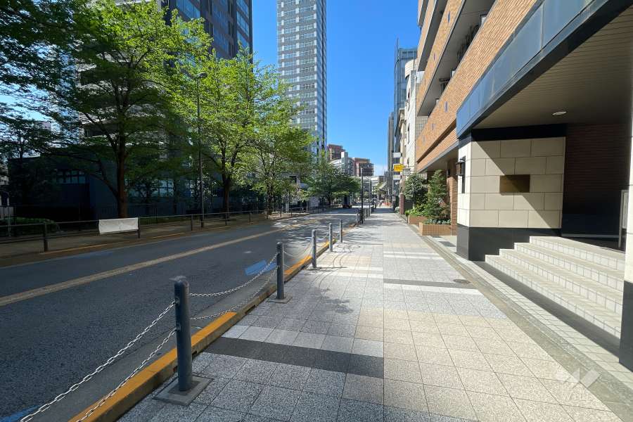 敷地南東側の前面道路（北東側から）