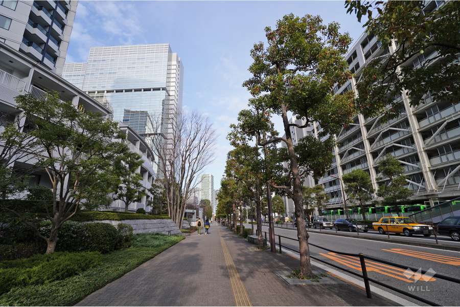 敷地南側の前面道路