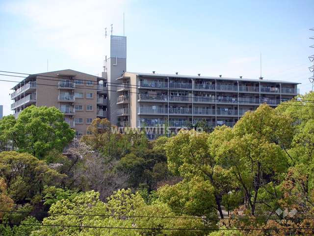 敷地の東側は緑豊かな『尾浜公園』です。