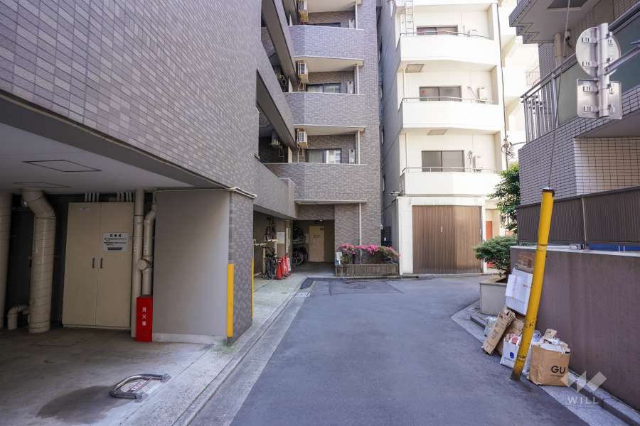 敷地東側の前面道路（北側から）