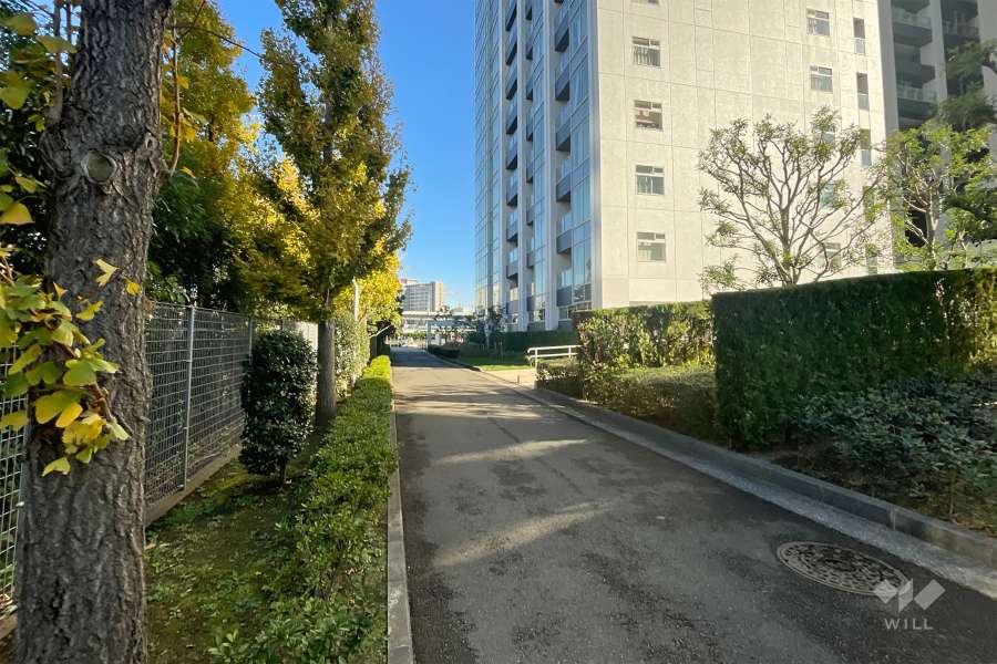 敷地東側の前面道路