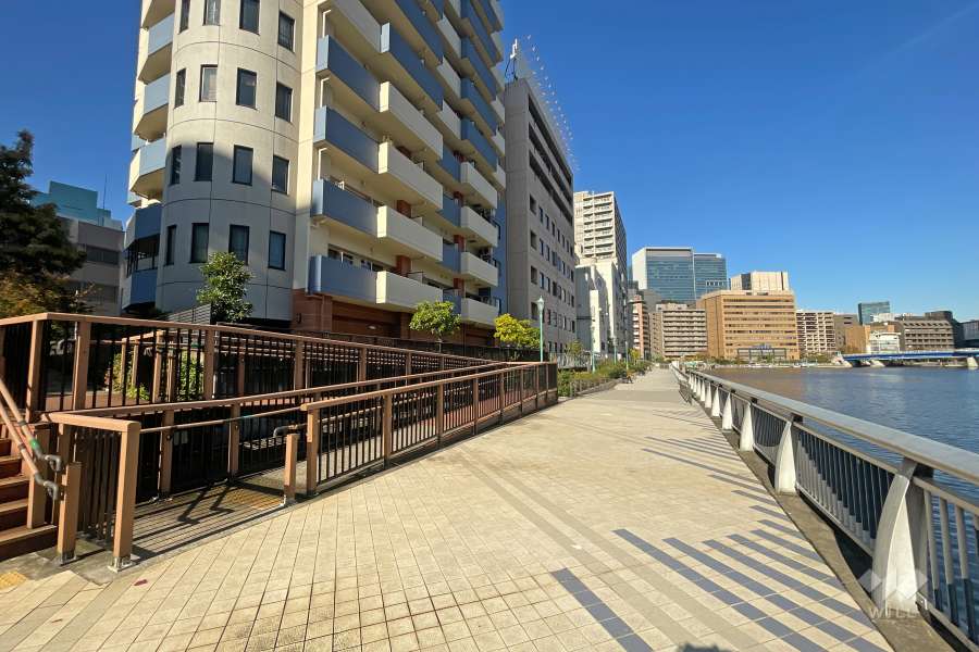 敷地東側の前面道路（南側から）