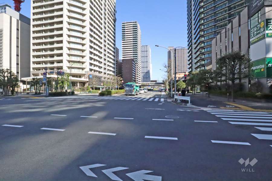 敷地南側の前面道路(西側から)