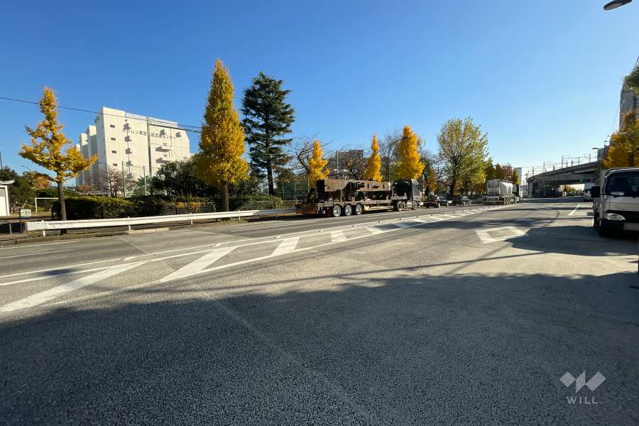 敷地東側の前面道路（北側から）