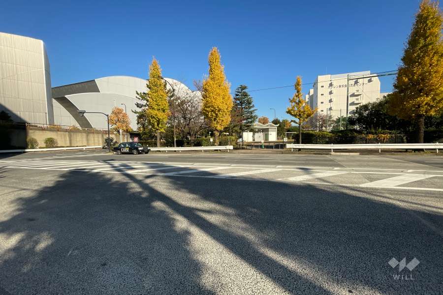 敷地東側の前面道路（南側から）