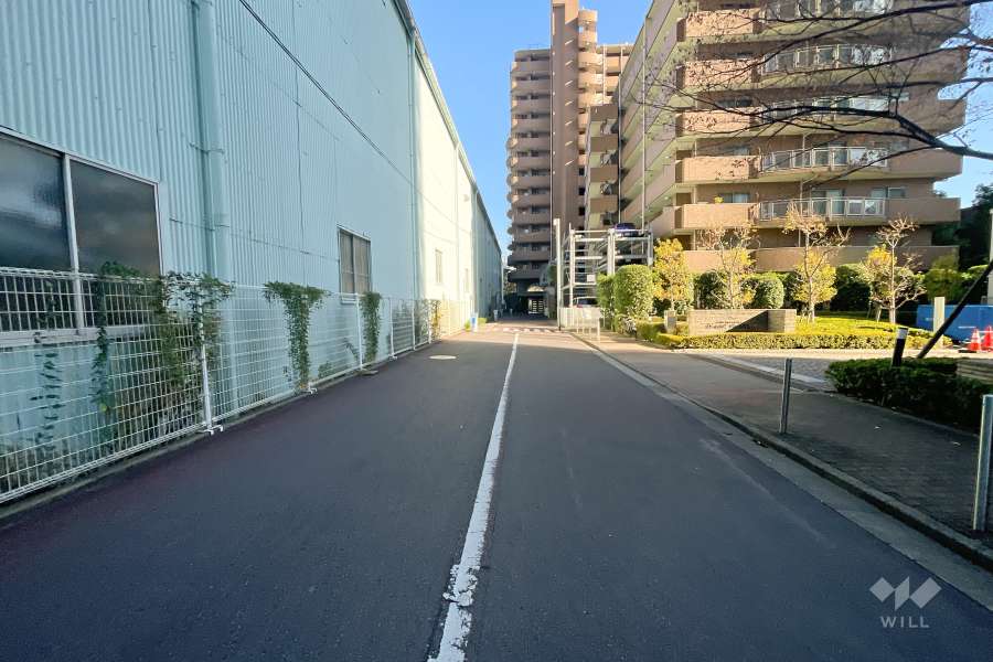 敷地北側の前面道路