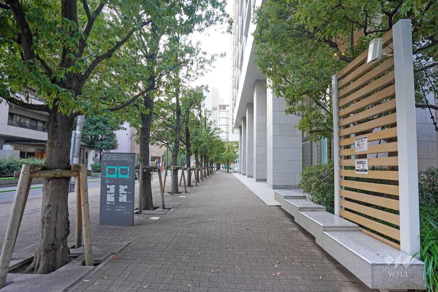 敷地南側の前面道路（東側から）