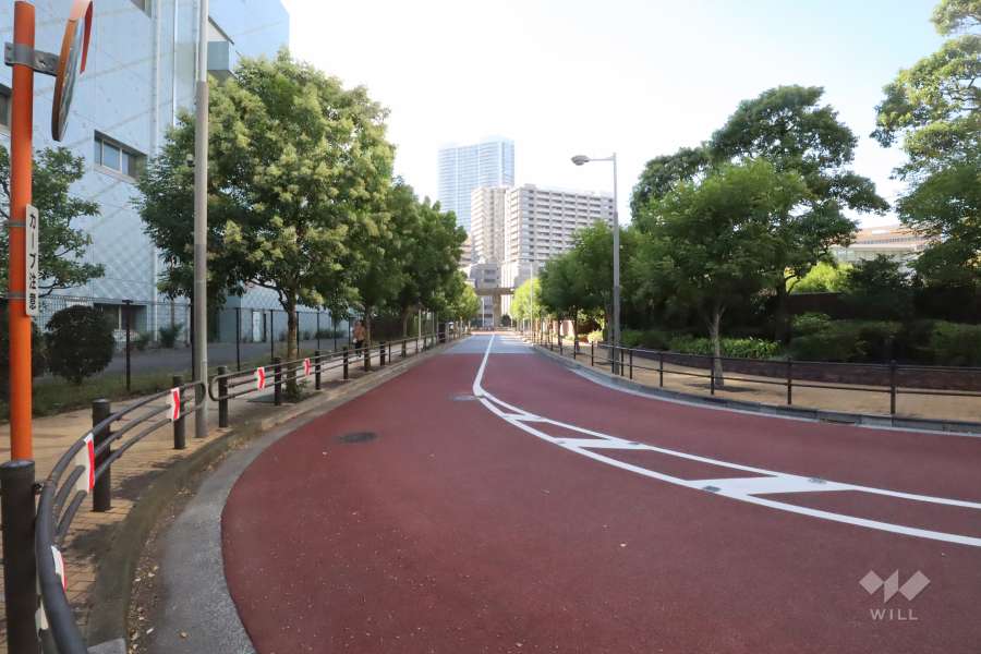 敷地南側の前面道路　