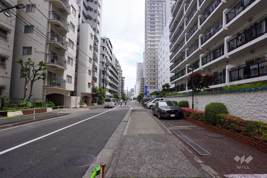 敷地東側の前面道路