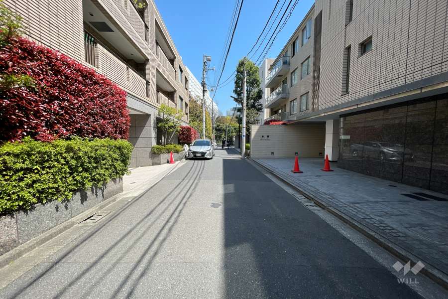 敷地の南側前面道路（西側から）
