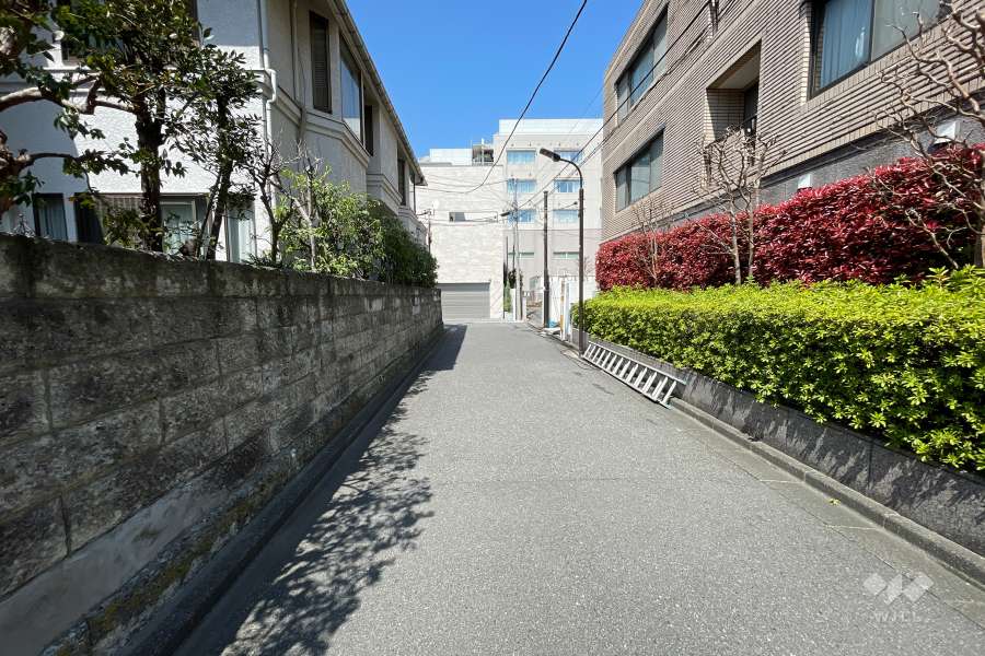 敷地の西側前面道路（南側から）