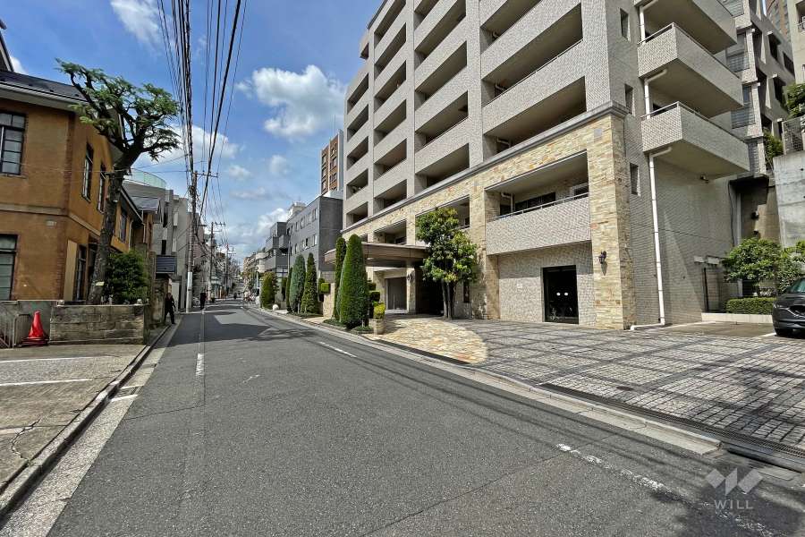 敷地の南側前面道路（東側から）