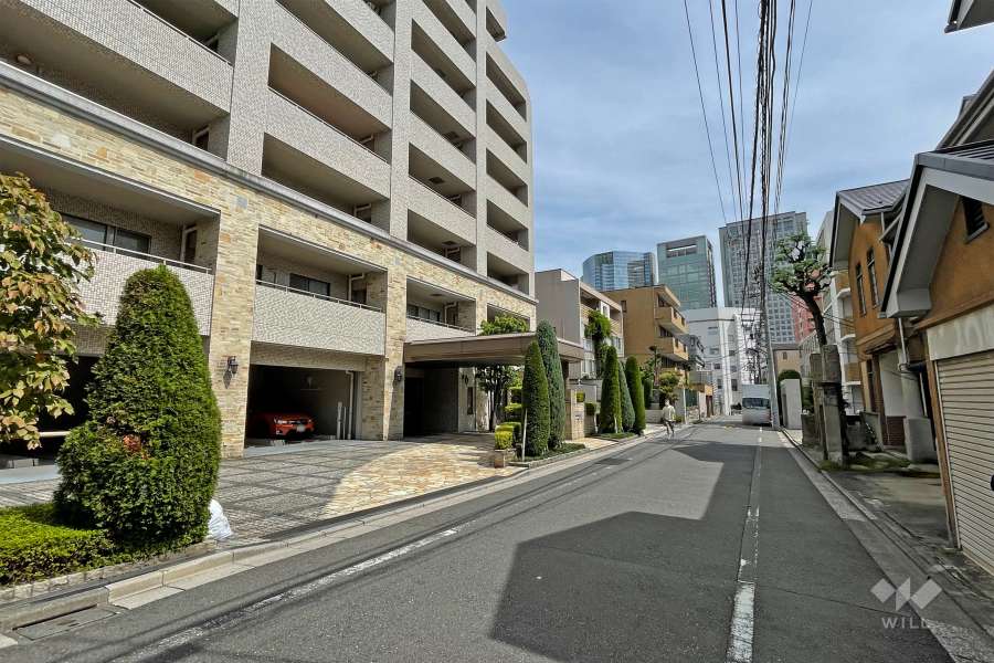 敷地の南側前面道路（西側から）