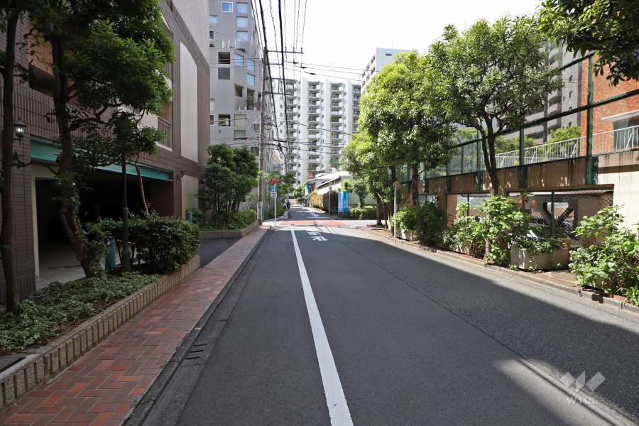 敷地北東側の前面道路（南東側から）