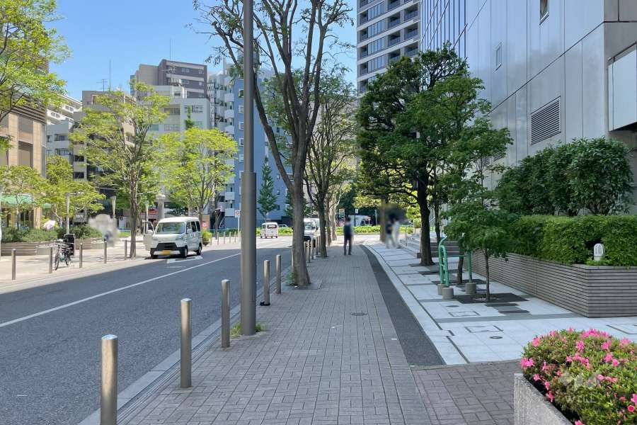 敷地の北側前面道路（西側から）