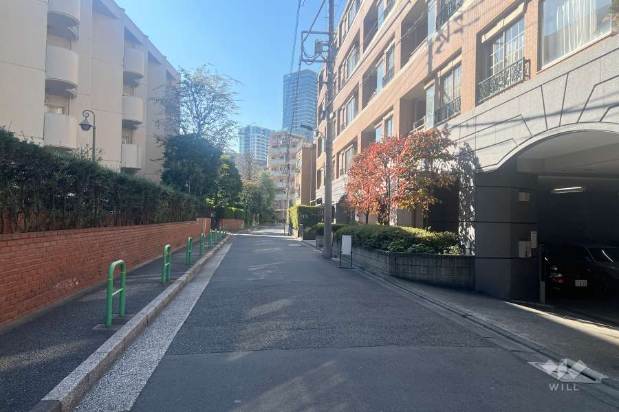 敷地東側の前面道路