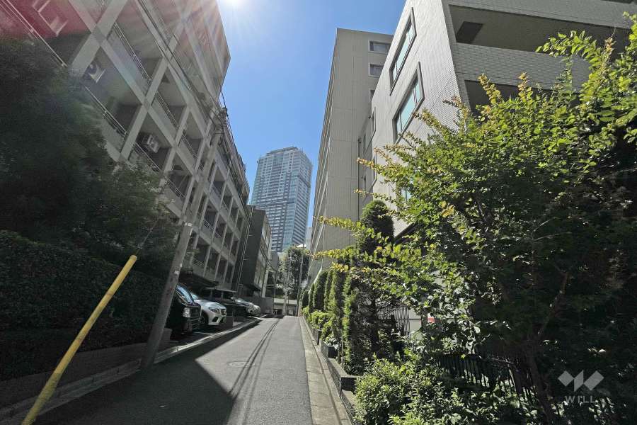 敷地南西側の前面道路