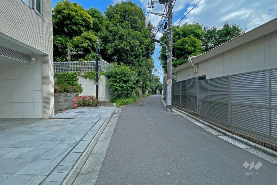 敷地南側の前面道路（西側から）