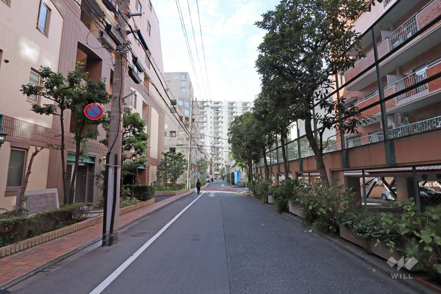 敷地南西側の前面道路