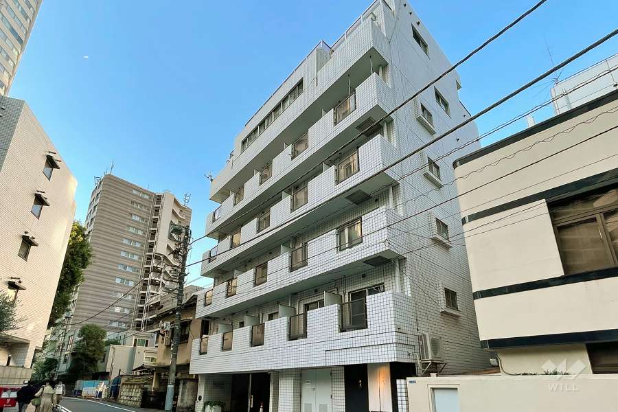 ネオキャステール赤坂の外観（南側から）