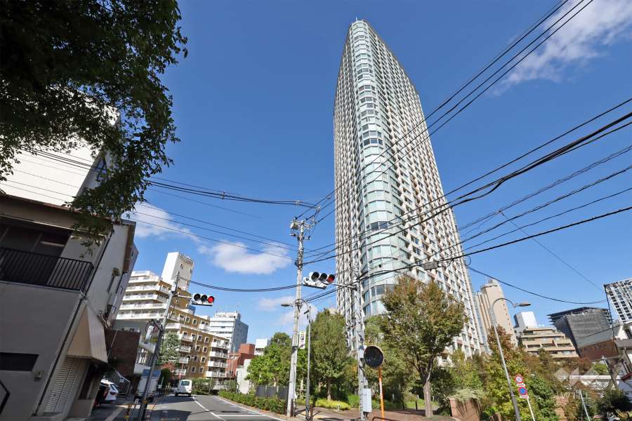 敷地の西側前面道路（南側から）