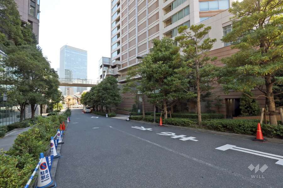 敷地の北側道路（西側から）