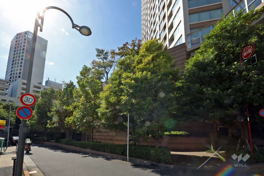 敷地の東側道路（北側から）