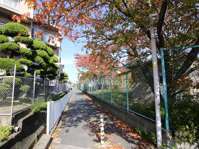 敷地東側の水路
