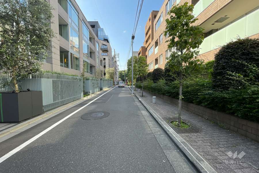 敷地西側の前面道路（南側から）