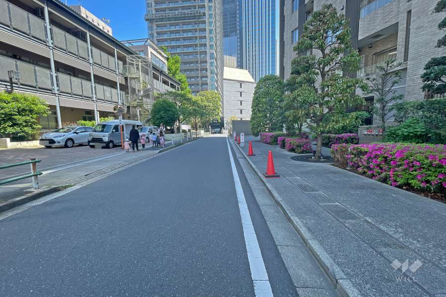 敷地北側の前面道路（西側から）