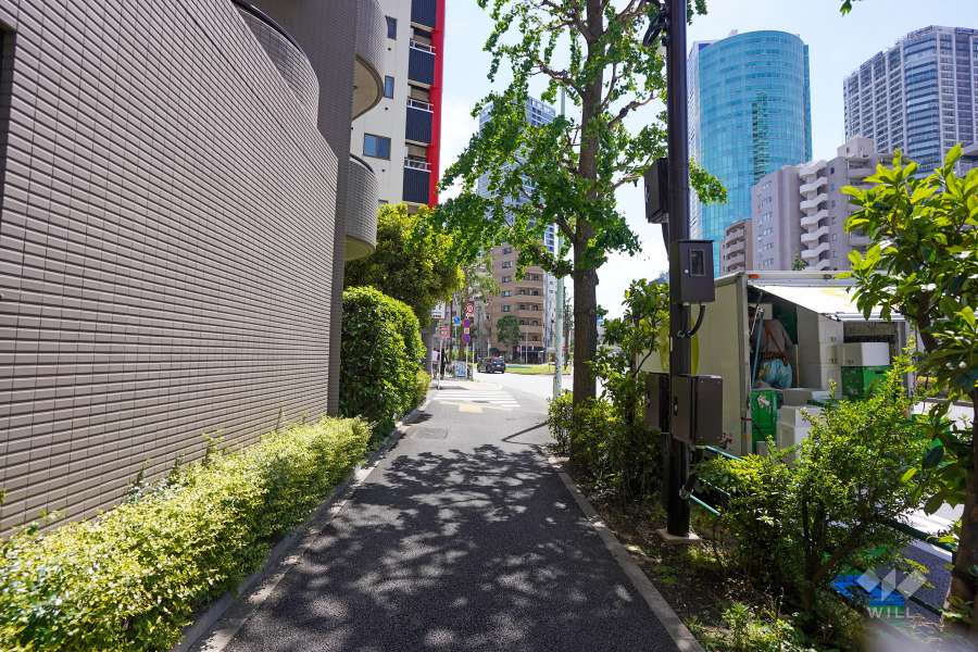 敷地西側の前面道路