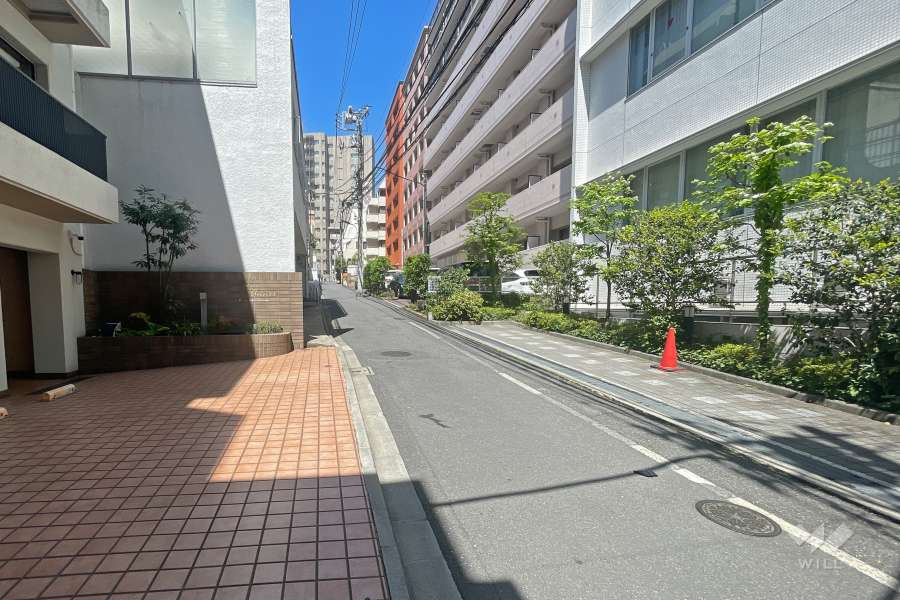 敷地南西側の前面道路（南東側から）