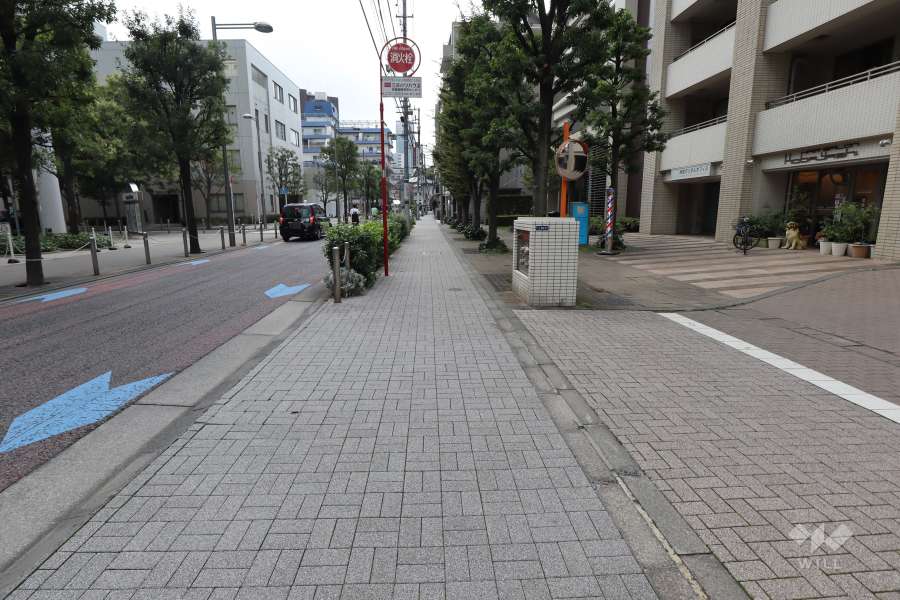 敷地東側の前面道路（北側から）