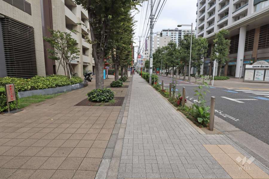 敷地東側の前面道路（南側から）