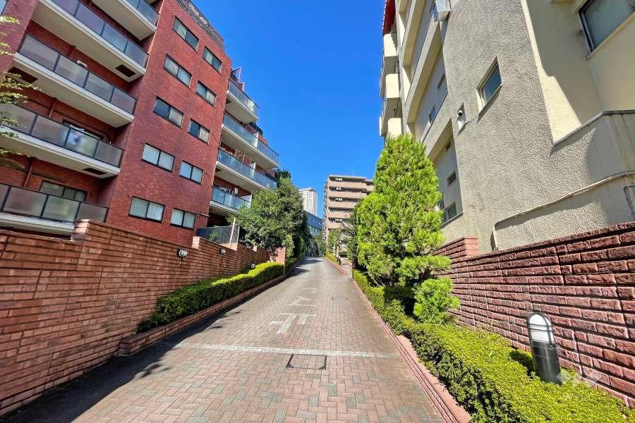 ライオンズマンション乃木坂の遠景。周辺は住宅の他、店舗や事務所などが混在する街です。