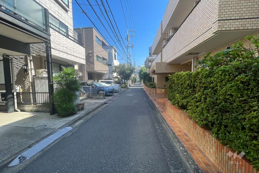 敷地北側の前面道路（西側から）