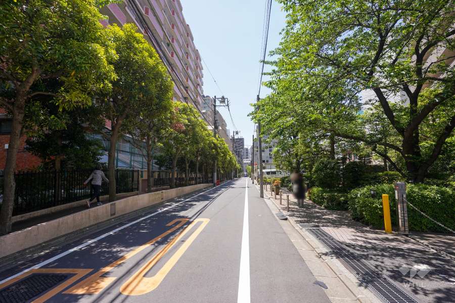 敷地東側の前面道路（北側から）