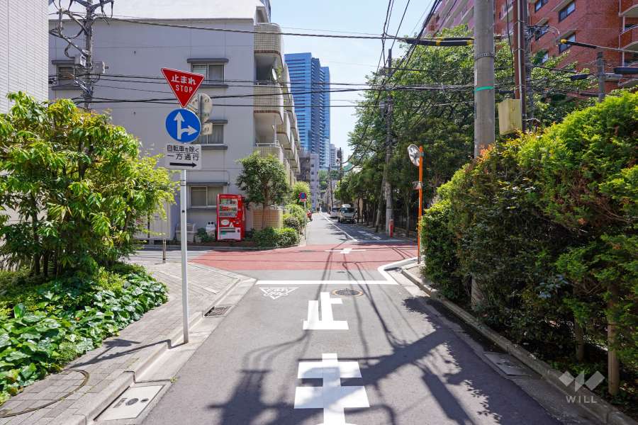 敷地北側の前面道路（西側から）
