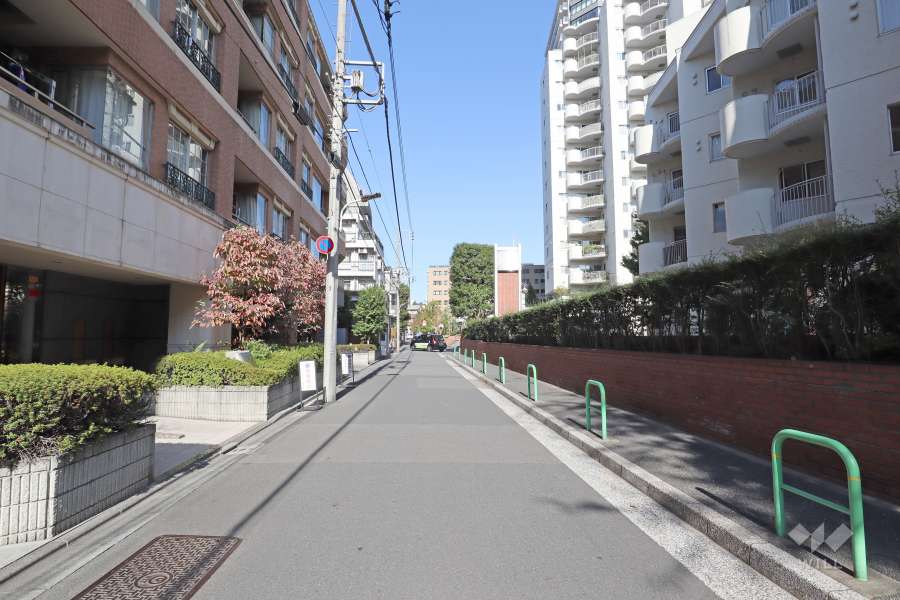 敷地西側の前面道路