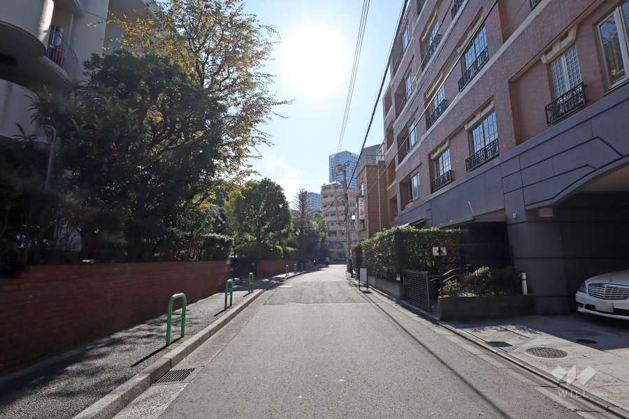 敷地南西側の前面道路