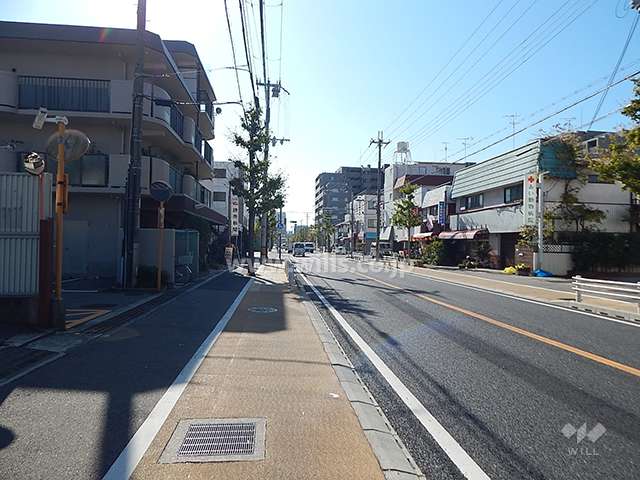 敷地西側の前面道路は二車線の通りで、街路樹が綺麗です。（北側から）
