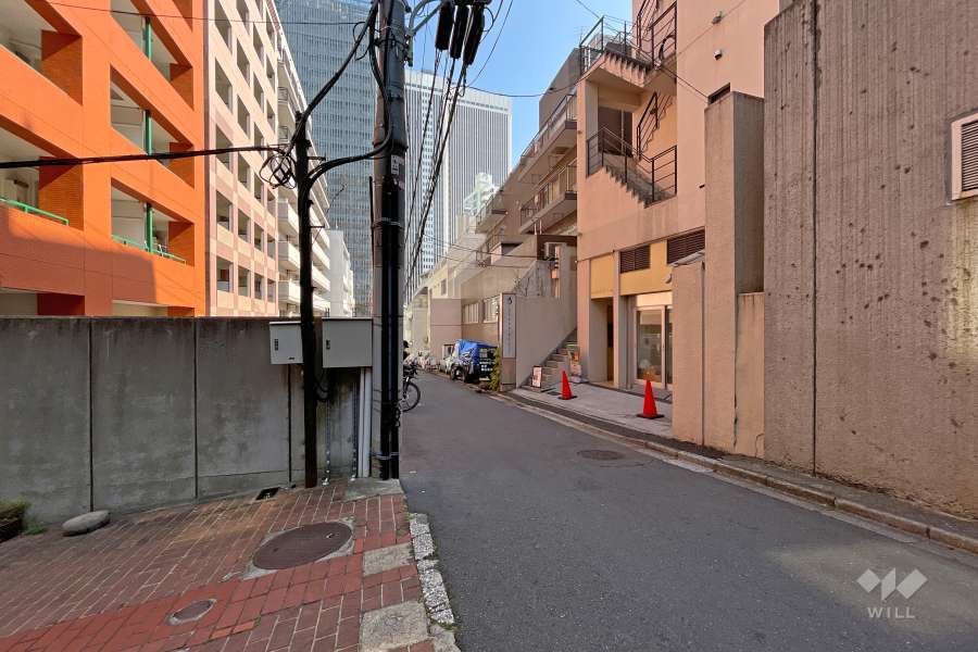 敷地南側の前面道路（西側から）