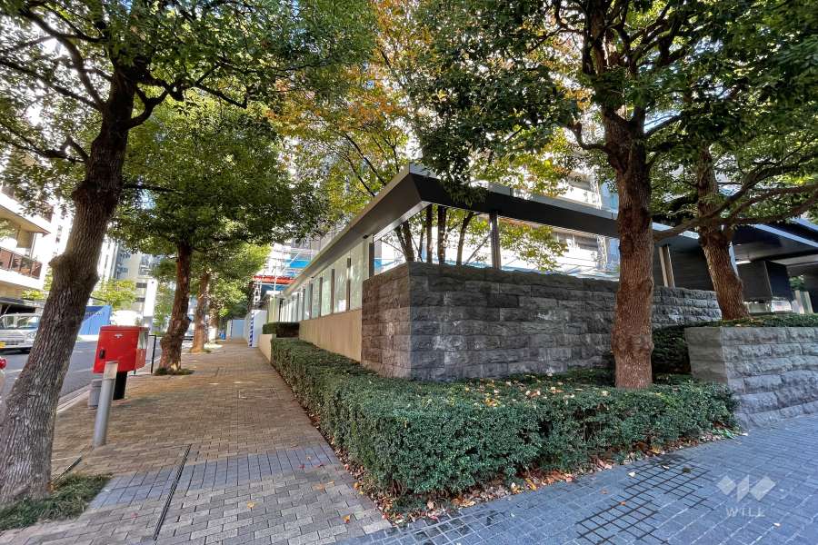 敷地北側の前面道路（北西側から）