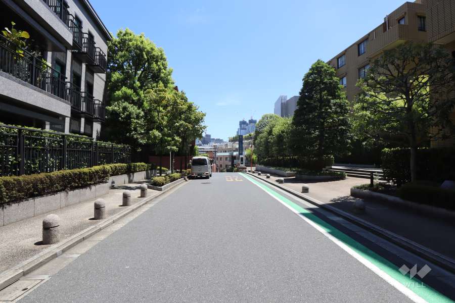 敷地北側の前面道路（西側から）