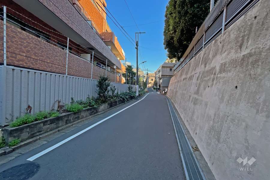 敷地の南側道路（西側から）