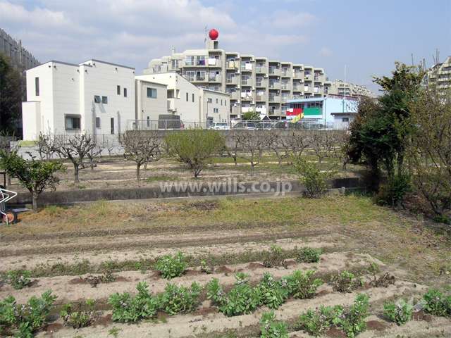 周辺は住宅の他、田畑も多い長閑な住宅地です。