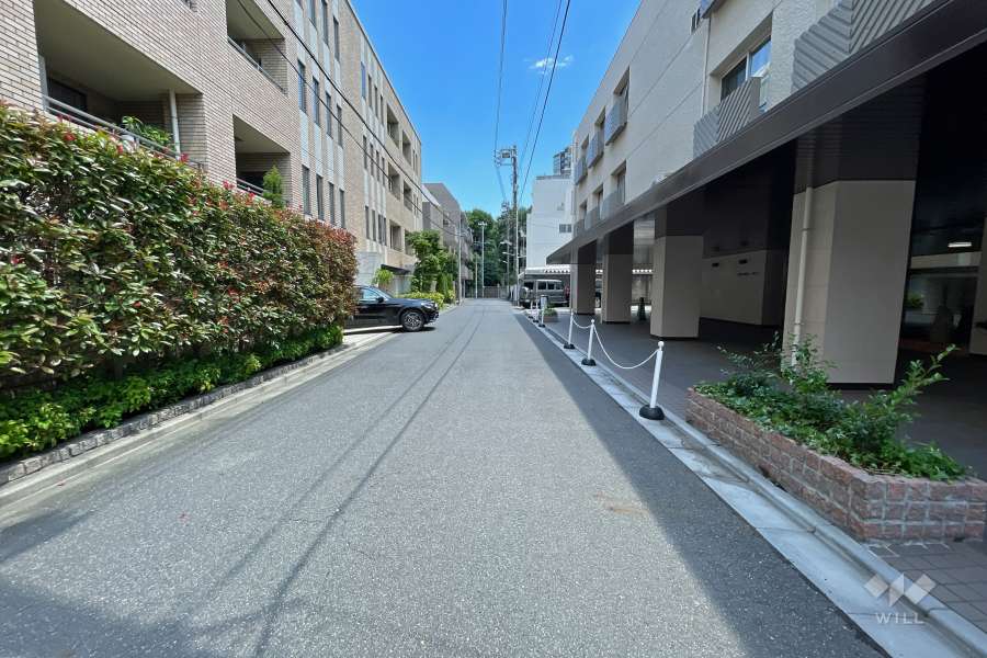 敷地北側の前面道路（西側から）