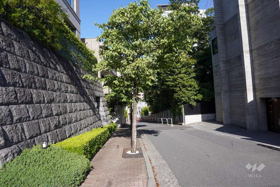 敷地南側の前面道路（西側から）