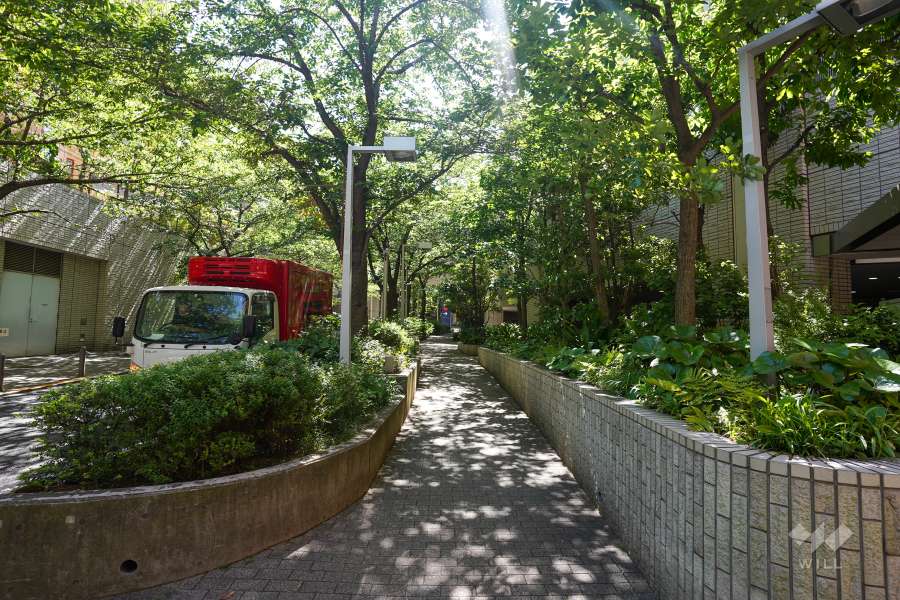 敷地南側の前面道路（西側から）