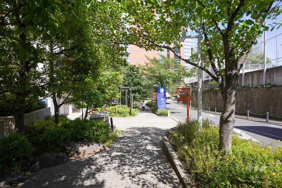 敷地南側の前面道路